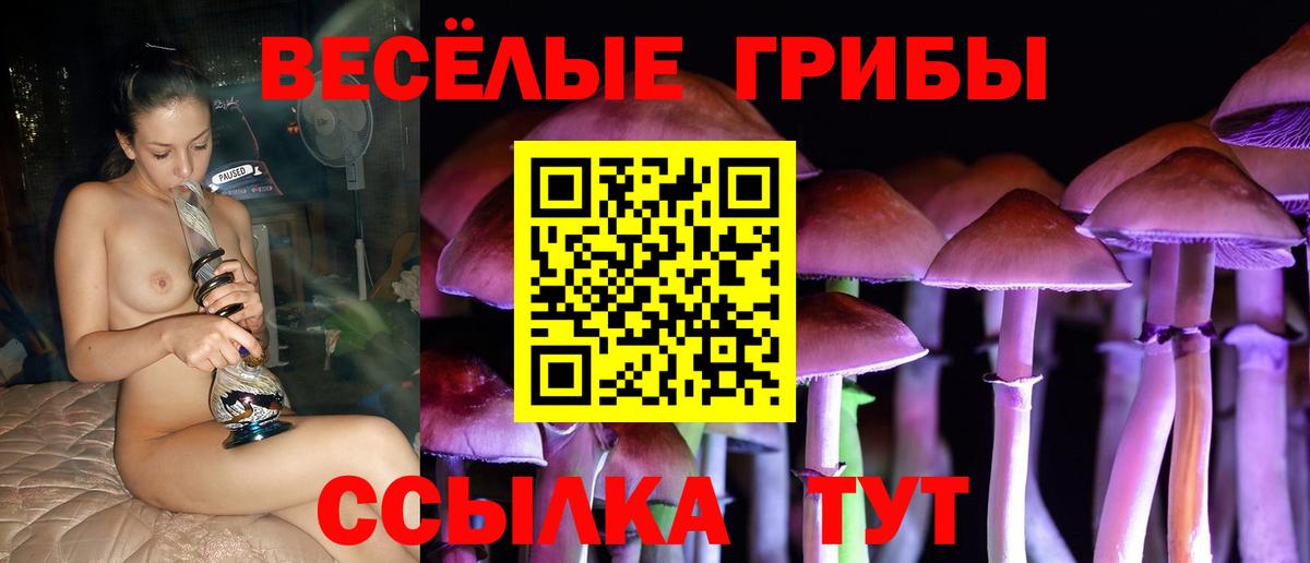 где купить наркоту  Псилоцибиновые грибы Psilocybine cubensis  Вход с VPN  Котовск  Псилоцибиновые грибы Psilocybe 