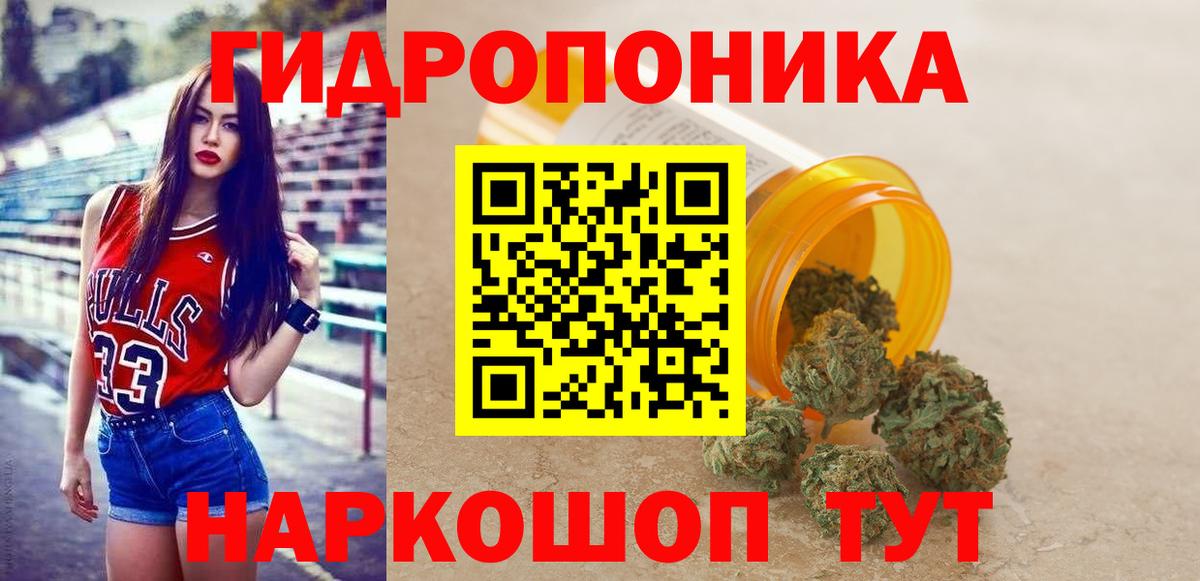 Галлюциногенные грибы Котовск